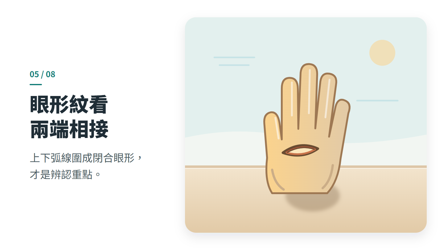 眼形紋看 兩端相接