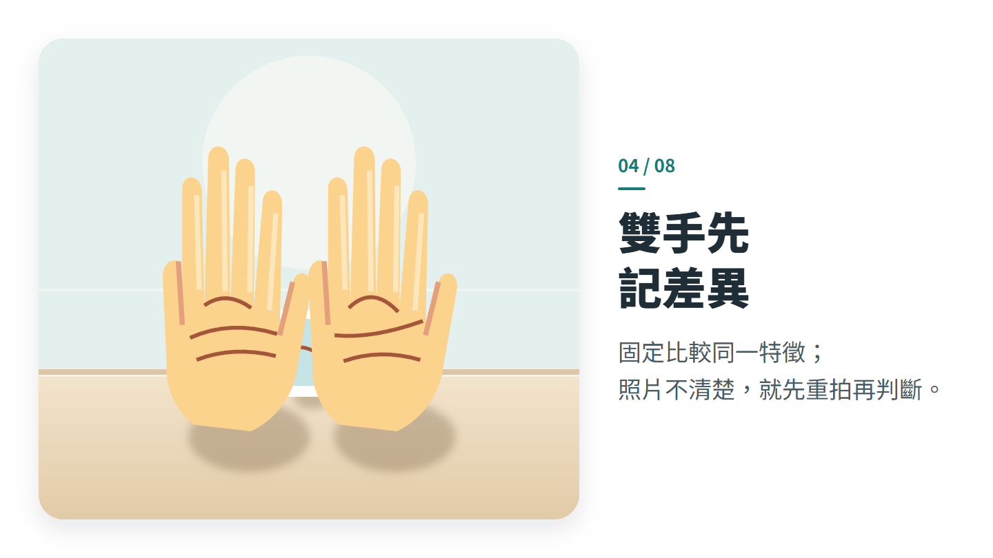 雙手先 記差異