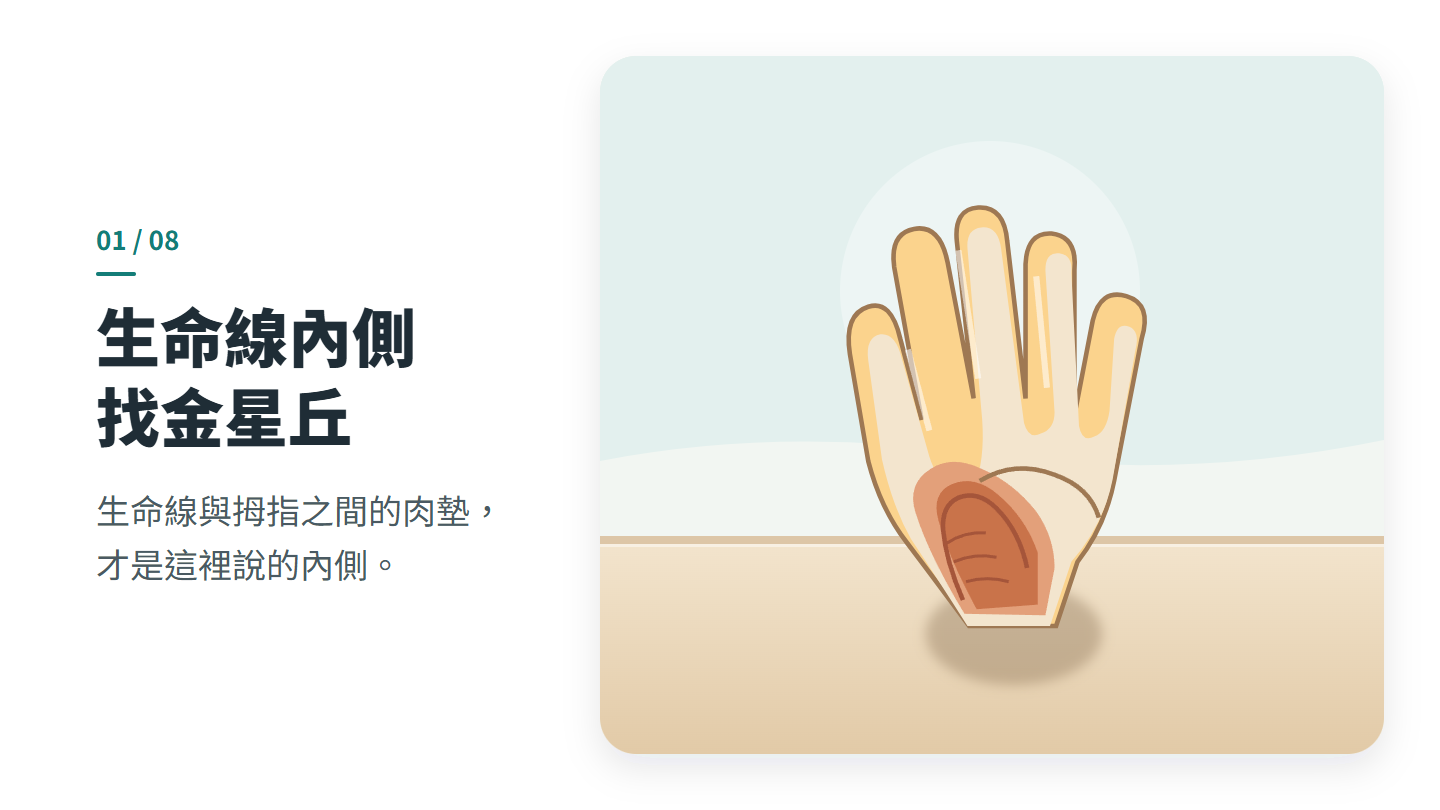 生命線內側 找金星丘