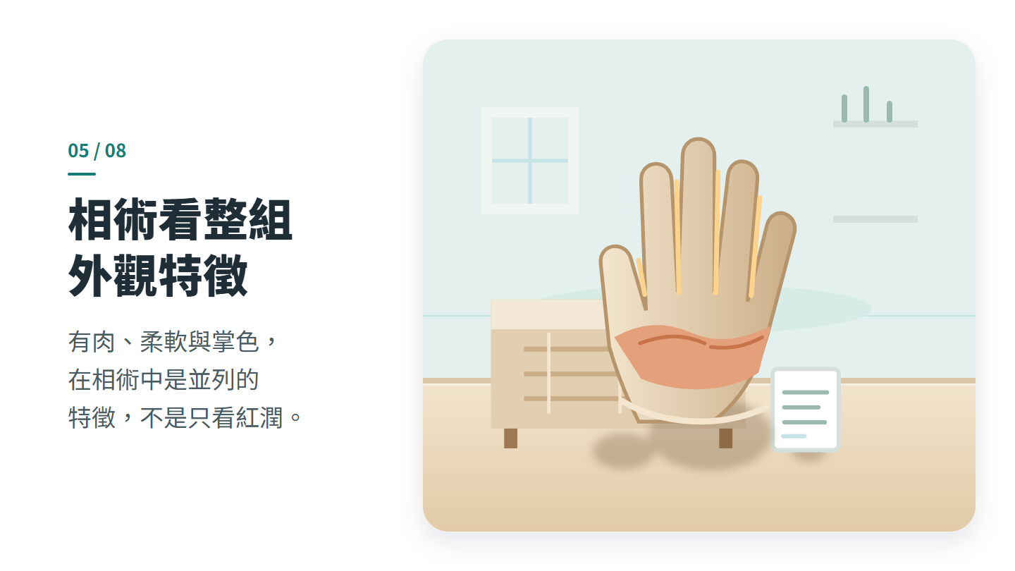 相術看整組 外觀特徵