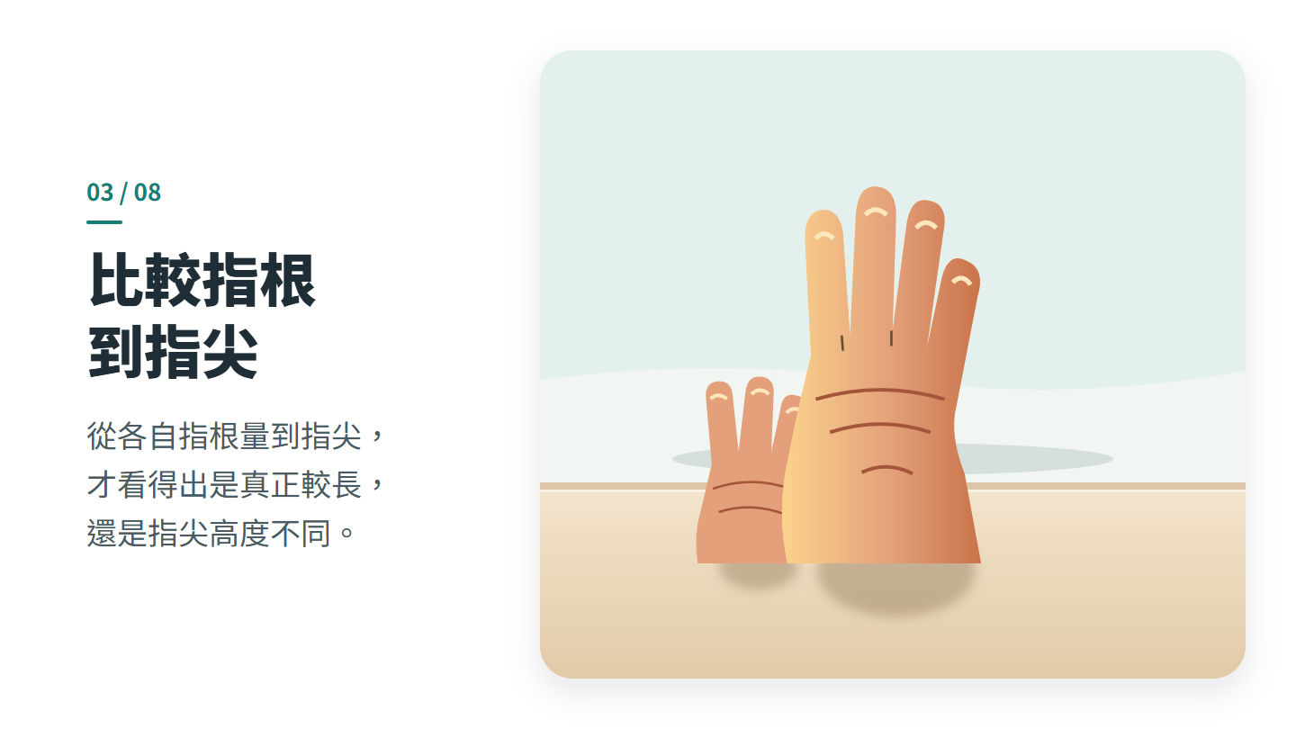 比較指根 到指尖