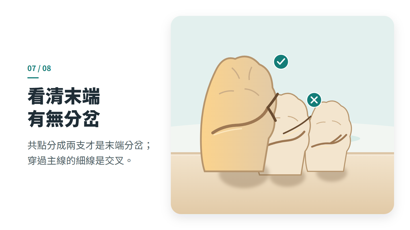 看清末端 有無分岔