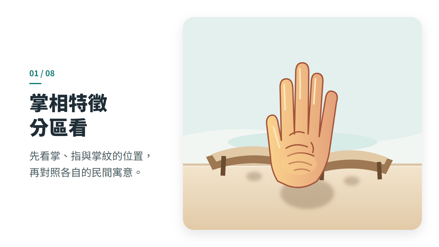 掌相特徵 分區看
