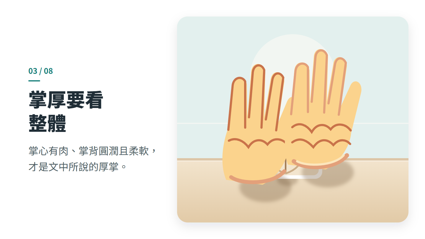 掌厚要看 整體